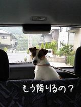 車中