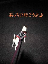 夜の散歩