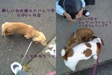エリック