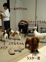 みんな集合!