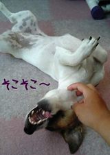 そこそこ