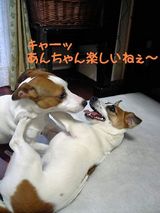 あんちゃん楽しいねぇ~