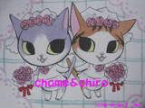 �ֲǡ����饹��