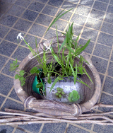 半分分け準備