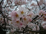 070327-11