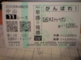 cf564089.JPG