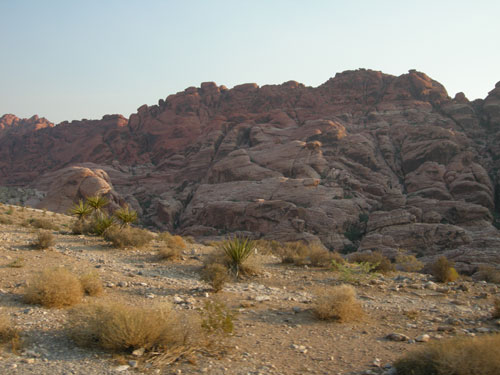 DSCN4226