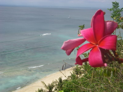 IMGP0748