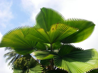 IMGP0957