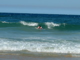 wave