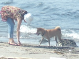summer