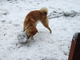 snow