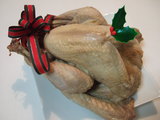 turkey