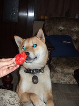 berry
