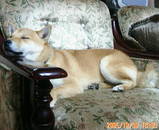 sleep3
