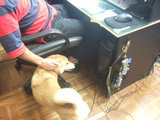 office