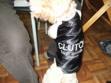 cru