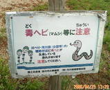 snake