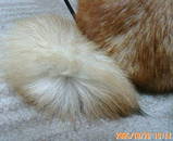 tail