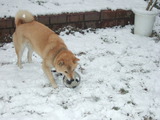 winter
