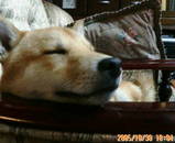 sleep2