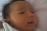 baby