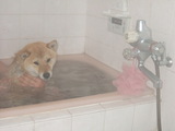 bath