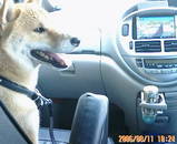 drive