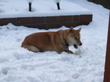 snow