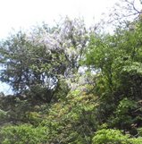 a0b95090.JPG