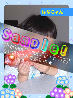 6B-blog_Sample