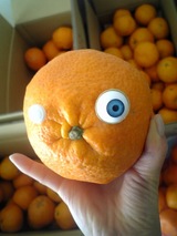 よっ!