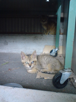 DSC00406