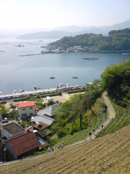danbata-umi