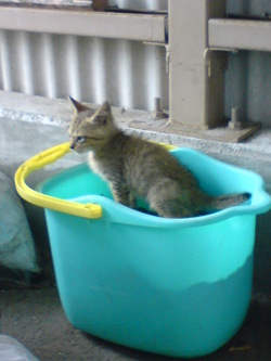 DSC00419