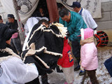 4a919100.jpg