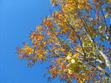 a68cb9b4.jpg
