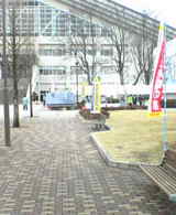 b8adf868.jpg