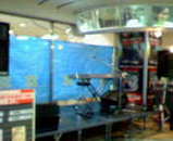 5b3b8034.jpg