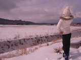 2010