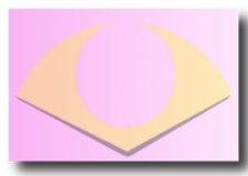 �ǥ�����25��