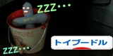 �ȥ��ס��ɥ�¼