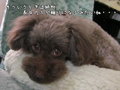 �椺