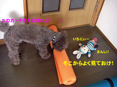 いちにー