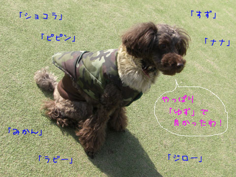 ゆずゆず