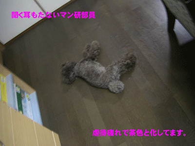 茶色