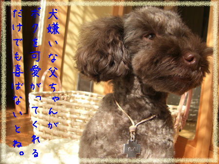 犬嫌い