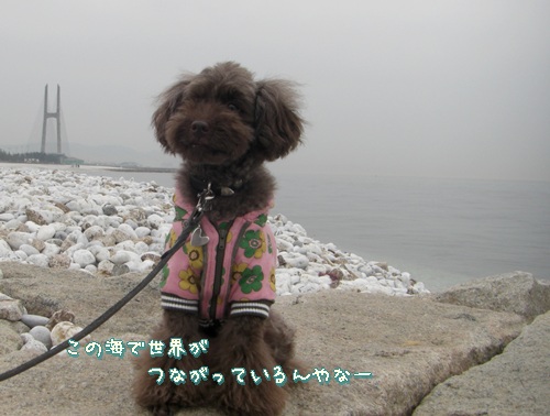 �椺