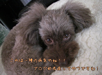 �椺