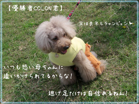 チャンピョン